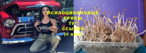 трава Богданович