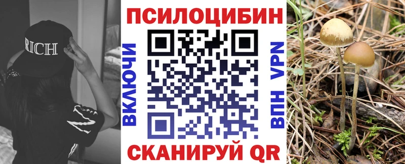 Псилоцибиновые грибы Psilocybine cubensis Нюрба